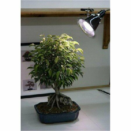 BRILLANTEZ 32W Grow Light Kit - Full Daylight Spectrum - Fluorescent Grow Light 150W Equivalent BR2810869